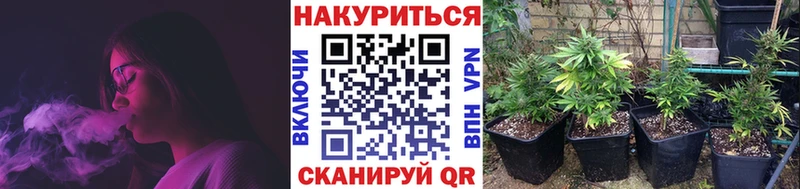 Как найти закладки Абинск Метадон ЭКСТАЗИ A PVP Бошки Шишки Кокаин ГАШ