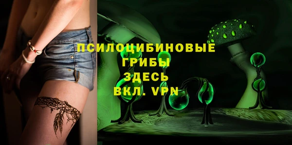 ПСИЛОЦИБИНОВЫЕ ГРИБЫ Дмитриев