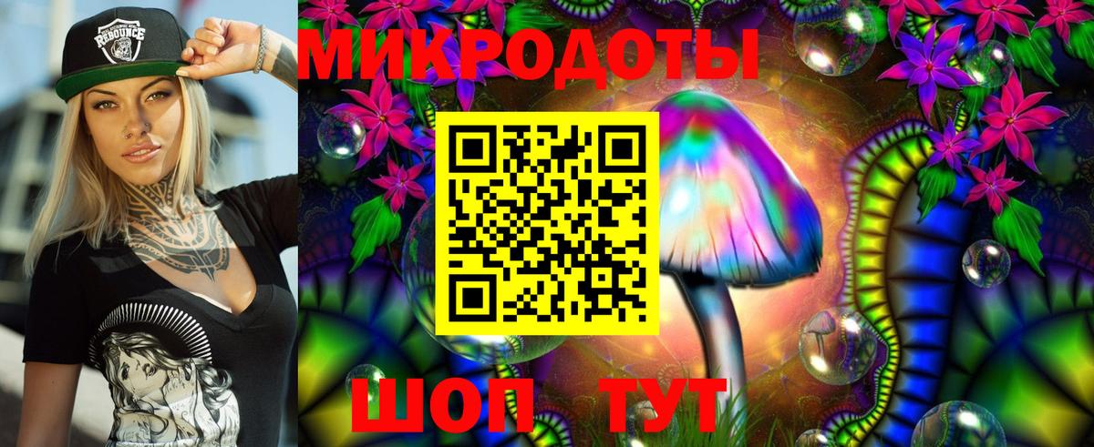 Галлюциногенные грибы прущие грибы  Вход с VPN  Абинск  Псилоцибиновые грибы мицелий 