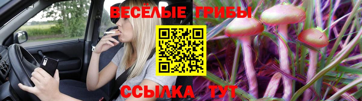Псилоцибиновые грибы MAGIC MUSHROOMS Абинск